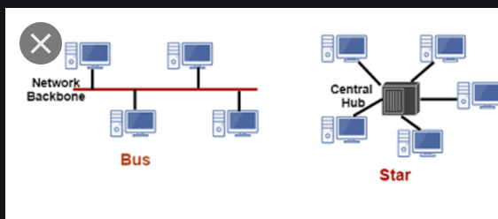 Star Bus Topology